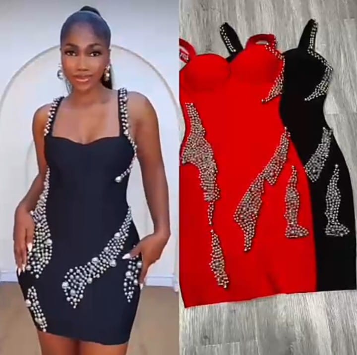 592 Embellished Bodycon Dress.