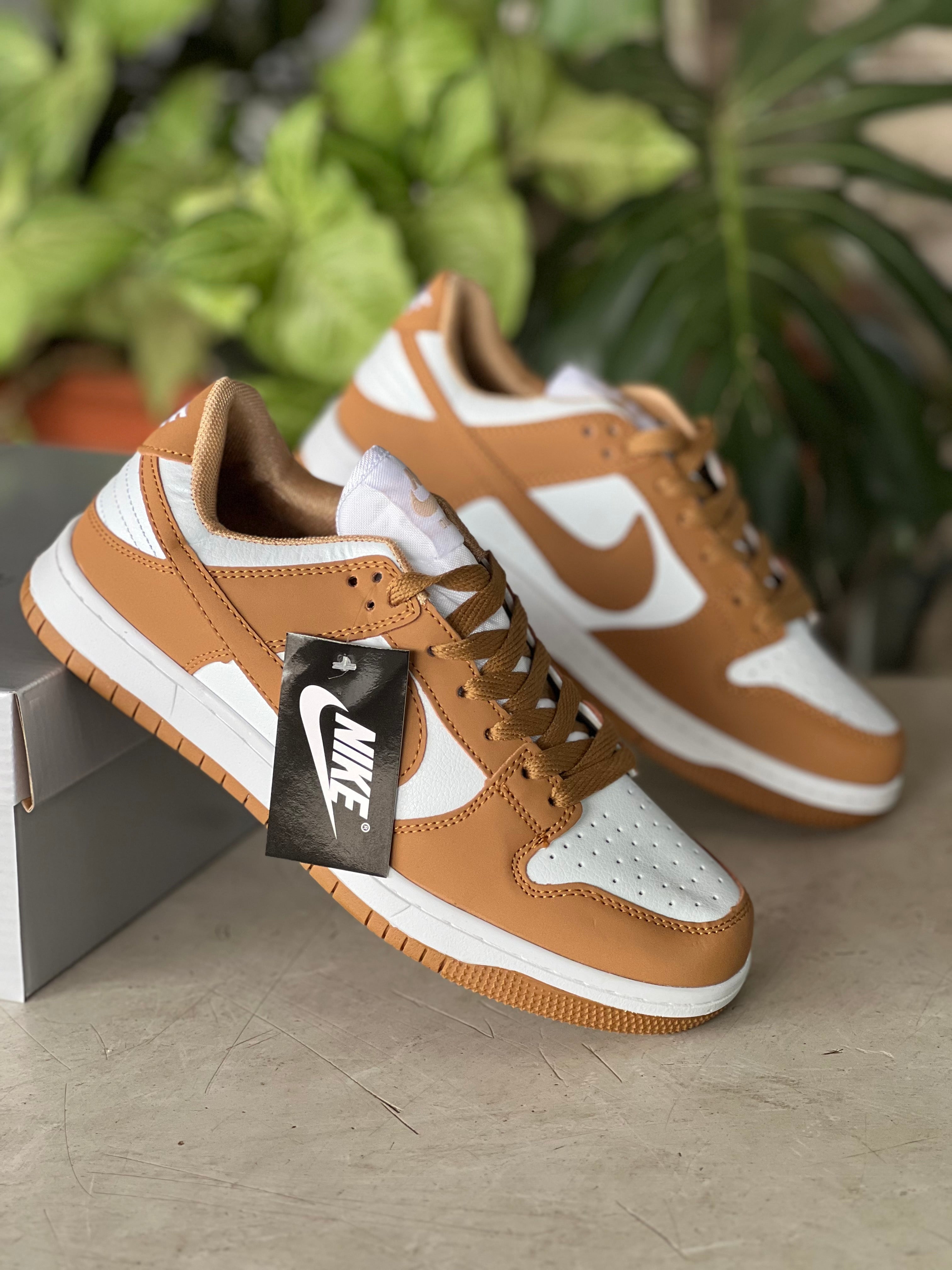 Nike SB dunk sneakers - Brown/White