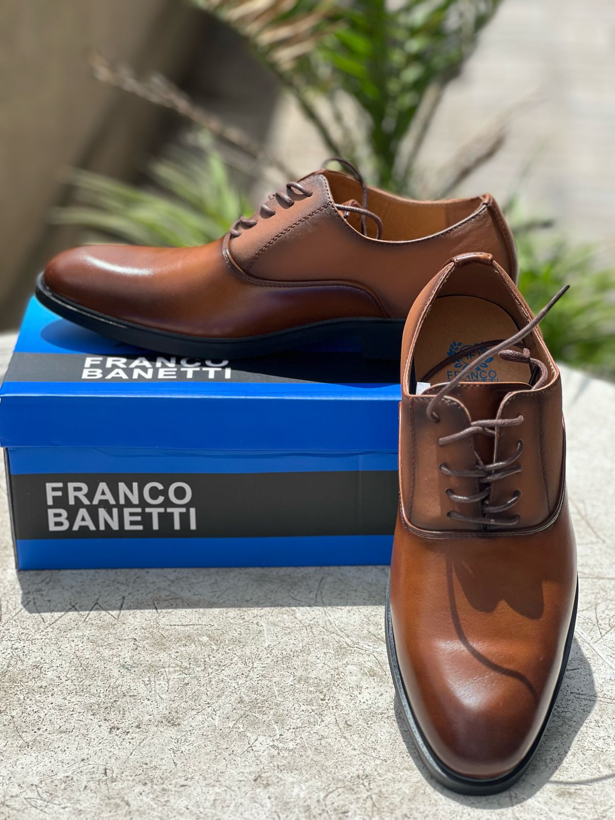 Franco Banetti Classic Leather Lace-Up Derby Dress Shoes - Brown