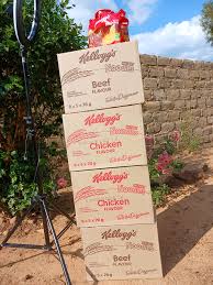 Kellogs Noodles Full Box